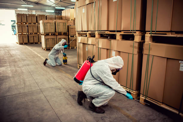 Best Bed Bug Extermination  in Columbus, KS