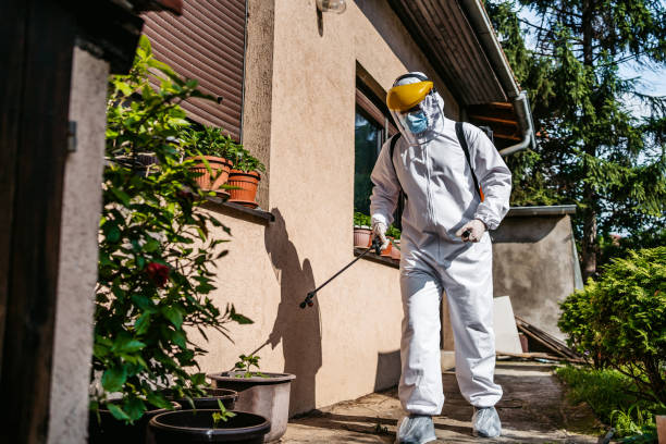 Best Flea Control Services  in Columbus, KS