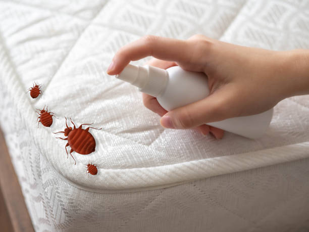 Best Pest Removal Services  in Columbus, KS