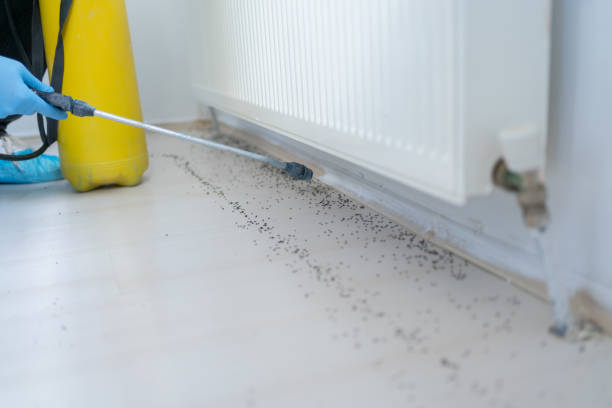 Best Rat Extermination Near Me  in Columbus, KS