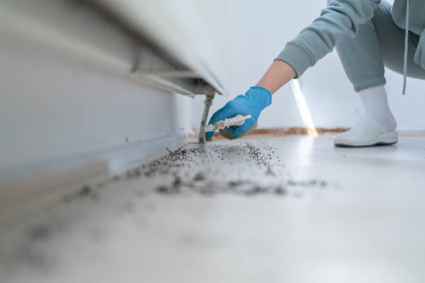 Best Mosquito Control Services  in Columbus, KS