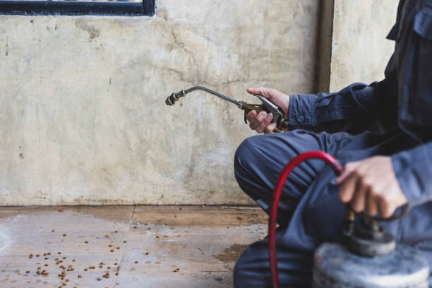 Best Emergency Pest Control  in Columbus, KS