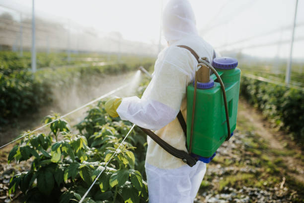 Best Best Pest Control Companies  in Columbus, KS